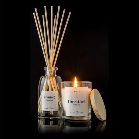 Диффузор ароматический the olphactory, pause, cashmere, 250 мл