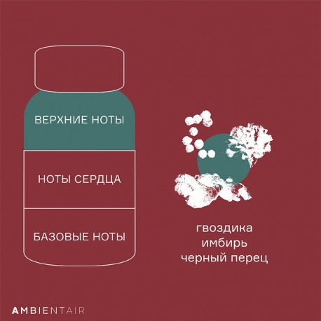 Диффузор ароматический gifting, gingerbread&orange, 100 мл