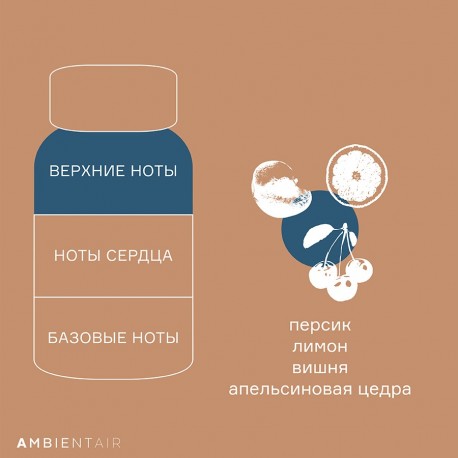 Диффузор ароматический gifting, bisquit&berries, 100 мл