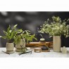 Диффузор ароматический vetiver & black cypress из коллекции edge, 200 мл, бежевый