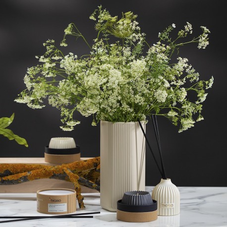 Диффузор ароматический vetiver & black cypress из коллекции edge, 200 мл, бежевый