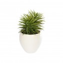 Pino Искусственное растение с белым керамическим кашпо 16 см