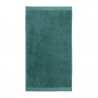 Полотенце для рук цвета виридиан из коллекции essential, 50х90 см