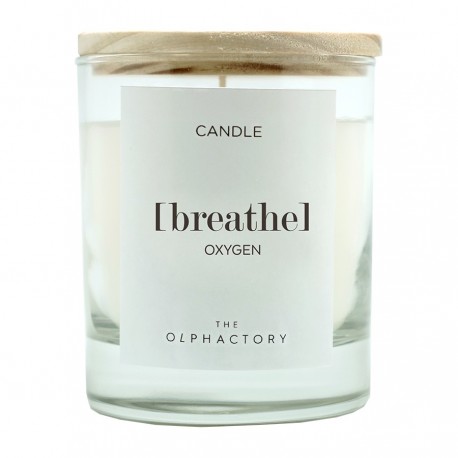 Свеча ароматическая the olphactory, breathe, oxygen, 40 ч