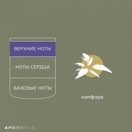 Свеча ароматическая enchanted forest, spruse, 40 ч