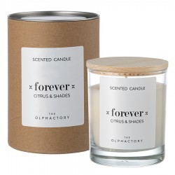 Свеча ароматическая the olphactory, forever, citrus&shades, 40 ч