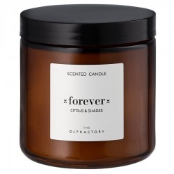Свеча ароматическая the olphactory, forever, citrus&shades, 60 ч