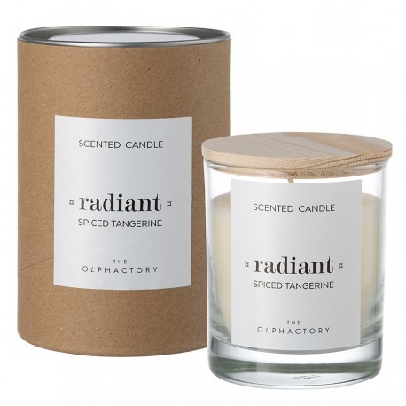 Свеча ароматическая the olphactory, radiant, spiced tangerine, 40 ч