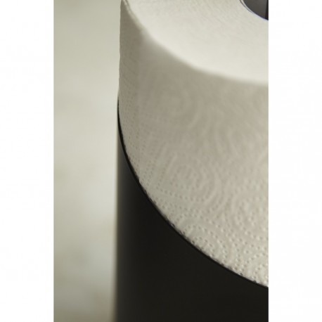 Держатель для бумажных полотенец riks, графит