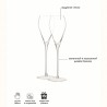 Набор бокалов для просекко wine, 250 мл, 2 шт.