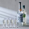 Набор стопок vodka, 50 мл, 4 шт.