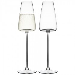 Набор бокалов для шампанского sheen, 240 мл, 2 шт.