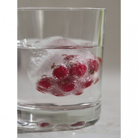Форма для льда freeze