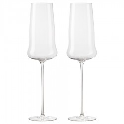 Набор бокалов для шампанского в подарочной упаковке sense, 360 мл, 2 шт.