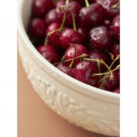 Миска для смешивания birds of paradise, 2,6 л, кремовая