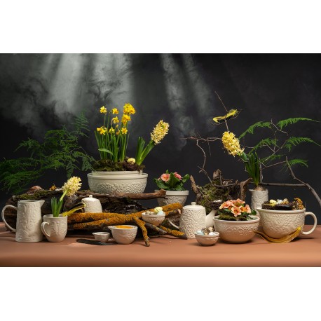 Набор мерных чаш birds of paradise, кремовые, 4 шт.