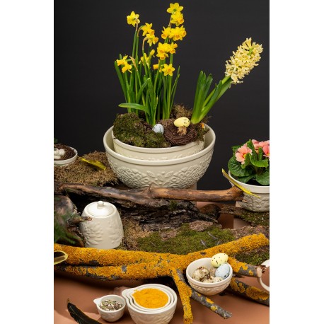 Набор мерных чаш birds of paradise, кремовые, 4 шт.