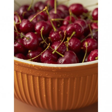 Миска soft ripples, 3,9 л, карамельная