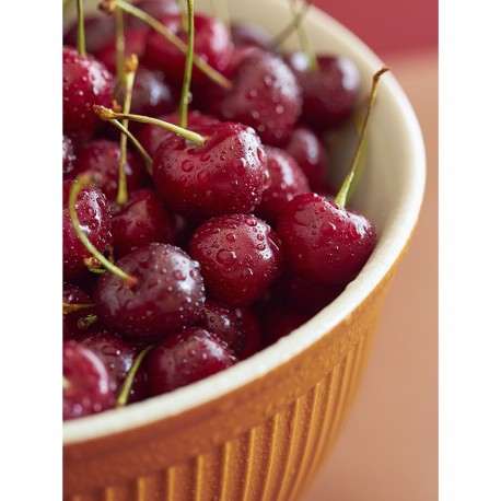 Миска soft ripples, 3,9 л, карамельная