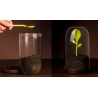Контейнер для сыпучих продуктов sprout jar
