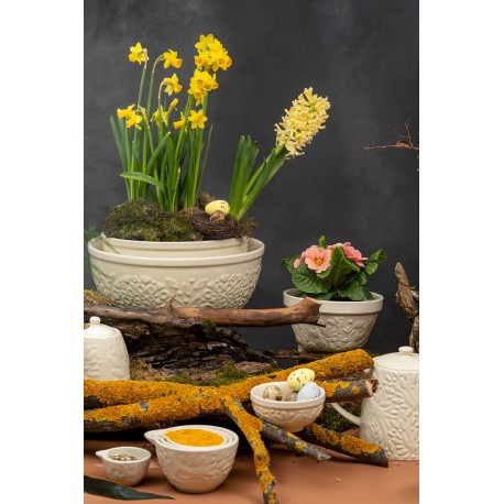 Набор пиал birds of paradise, 190 мл, кремовые, 2 шт.