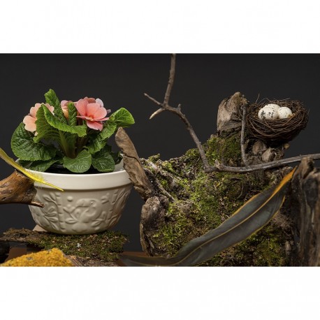 Чаша birds of paradise, 850 мл, кремовая