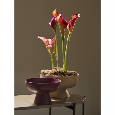 Блюдо на ножке vivlend, D25,5 см, бежевое