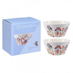 Набор чаш owl из коллекции birds of paradise в подарочной упаковке, 450 мл, 2 шт.