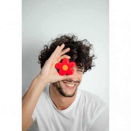 Набор из солонки и перечницы daisy