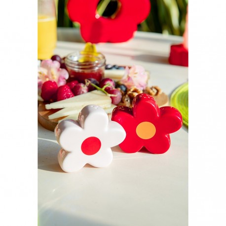 Набор из солонки и перечницы daisy