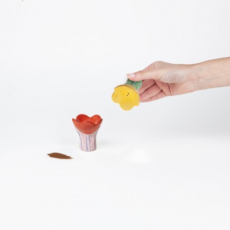 Набор из солонки и перечницы bloom