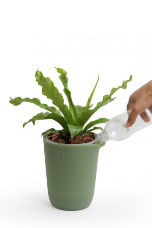 Горшок для полива растений oasis round pot s зелёный