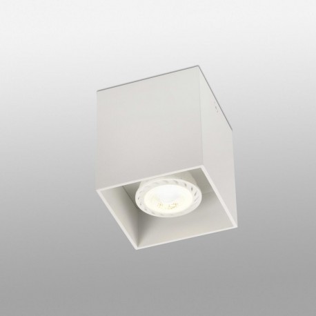 Потолочный светильник Тесто-1 белый