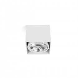 Потолочный светильник Тесто-1 белый AR111