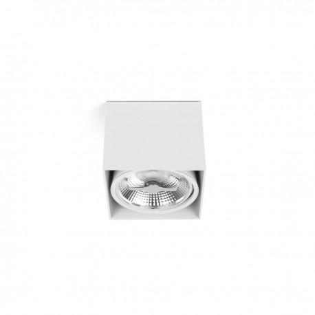 Потолочный светильник Тесто-1 белый AR111
