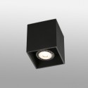 Потолочный светильник Тесто-1 черный