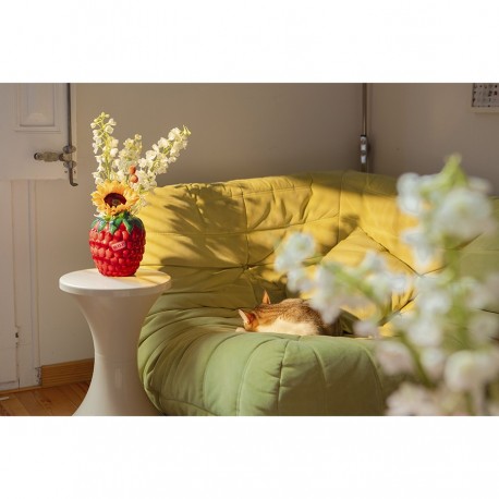 Ваза для цветов raspberry, 20 см