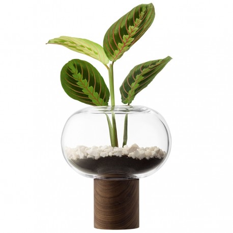 Ваза oblate, 21,5 см, прозрачная/орех