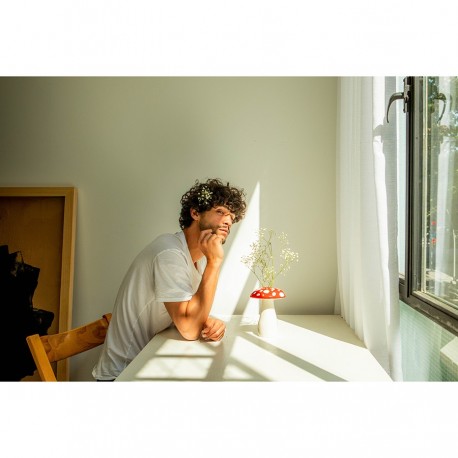 Ваза для цветов amanita, 19 см